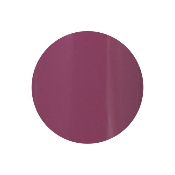 Nail Polish Quick Dry No 1117